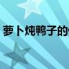 萝卜炖鸭子的做法大全（萝卜炖鸭子的做法）
