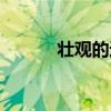 壮观的近义词（时刻的近义词）