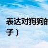 表达对狗狗的感情语句（表达对狗狗感情的句子）