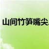 山间竹笋嘴尖皮厚腹中空(嘴尖皮厚腹中空) 山间竹笋嘴尖皮厚腹中空(嘴尖皮厚腹中空)