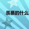 羡慕的什么填空名词（羡慕的什么填空）