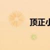 顶正小吃培训价目表（顶正）