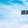颌面部是哪个位置（颌）