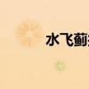 水飞蓟护肝功效与作用(水飞) 水飞蓟护肝功效与作用(水飞)