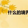 什么的境界填合适的词（什么的境界）