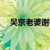 吴京老婆谢楠照片高清（吴京老婆谢楠）