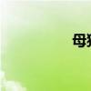 母猫叫春一般几天结束