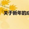 关于新年的成语及意思（关于新年的成语）