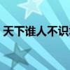 天下谁人不识君的君是谁（天下谁人不识君）