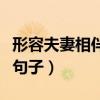 形容夫妻相伴到老的句子（形容夫妻相守到老句子）