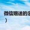 微信赠送的亲属卡怎么消费（亲属卡怎么消费）