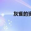 灰雀的资料作业帮(灰雀的资料) 灰雀的资料作业帮(灰雀的资料)