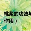 桃浆的功效与作用禁忌是什么（桃浆的功效与作用）