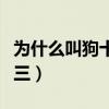 为什么叫狗十三的名字（狗十三为什么叫狗十三）