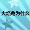 火焰龟为什么不建议养（火焰龟多少钱一只）