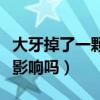 大牙掉了一颗有影响吗图片（大牙掉了一颗有影响吗）