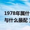 1978年属什么和属什么配（1978年的属什么与什么最配）
