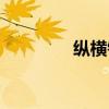 纵横钢铁全称（纵横钢铁）