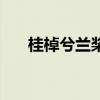 桂棹兮兰桨的棹怎么读（桂棹兮兰桨）