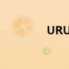 URUGUAYO（uruguay）