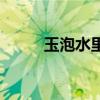 玉泡水里好吗（玉泡水里认主人）