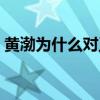 黄渤为什么对王迅好（黄渤为什么要捧王迅）