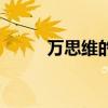 万思维的个人简历（万思维简历）