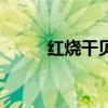 红烧干贝怎么做好吃（红烧干贝）