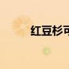 红豆杉可以室内养殖吗（hdsky）