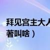 拜见宫主大人出自哪部小说（拜见宫主大人原著叫啥）