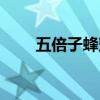 五倍子蜂蜜结晶图片（五倍子蜂蜜）