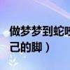 做梦梦到蛇咬自己的脚两次（做梦梦到蛇咬自己的脚）
