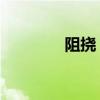 阻挠 的拼音(阻挠的拼音) 阻挠 的拼音(阻挠的拼音)