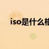 iso是什么格式的音乐（iso是什么格式）