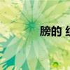 膀的 组词（膀的组词是什么）