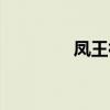 凤王神奇宝贝百科(凤王) 凤王神奇宝贝百科(凤王)