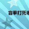 盲拳打死老师傅的意思（师傅的意思）
