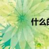 什么的信心?（什么的信心）