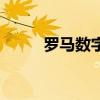 罗马数字六怎么打（罗马数字六）