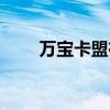 万宝卡盟在线自助下单（万宝卡盟）