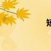 短评怎么写（短评）