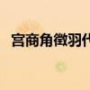 宫商角徴羽代表（宫商角羽徽代表的数字）
