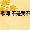 歌词 不是我不爱你（不是我不爱你是哪首歌）