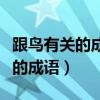 跟鸟有关的成语跟昆虫有关的成语（跟鸟有关的成语）