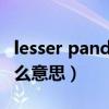 lesser panda是什么意思（pandalover是什么意思）