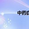中药白术怎么念（中药白术）