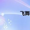 飞舞歌词解析（飞舞歌词）