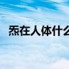 炁在人体什么位置（先天一炁是什么意思）