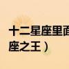 十二星座里面谁是星座之王（什么座是十二星座之王）
