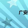 广安机场大道（广安机场）